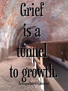 C224928a9c40212e93468944030bafc7